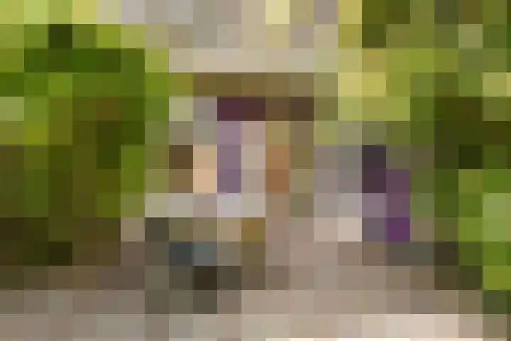 Van Hoornekade 193 Utrecht thumbnail 23