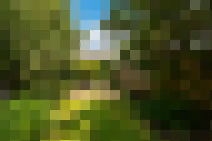 Van Hoornekade 193 Utrecht thumbnail 25