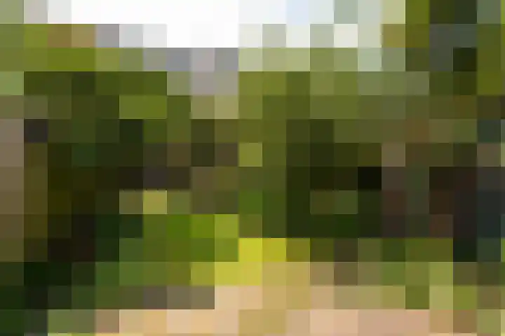 Van Hoornekade 193 Utrecht thumbnail 27