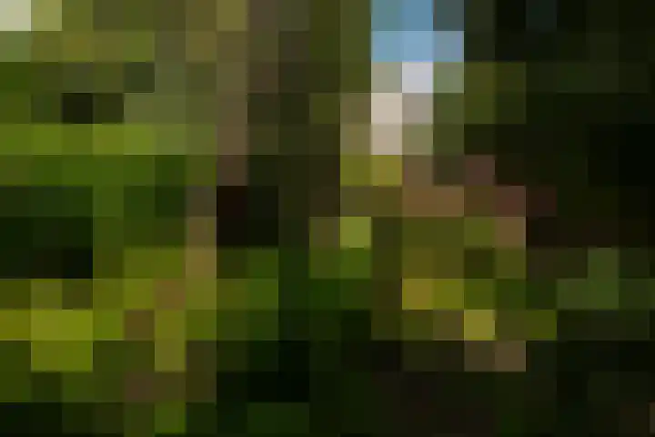Van Hoornekade 193 Utrecht thumbnail 28