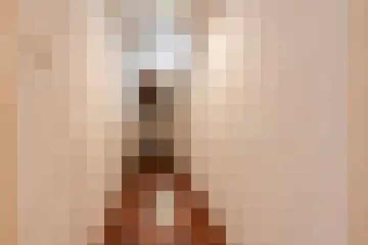 Van Hoornekade 193 Utrecht thumbnail 29