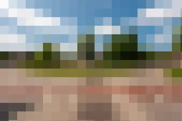 Van Hoornekade 193 Utrecht thumbnail 34