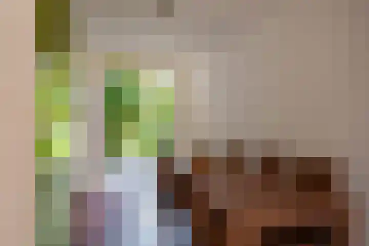 Van Hoornekade 193 Utrecht thumbnail 5