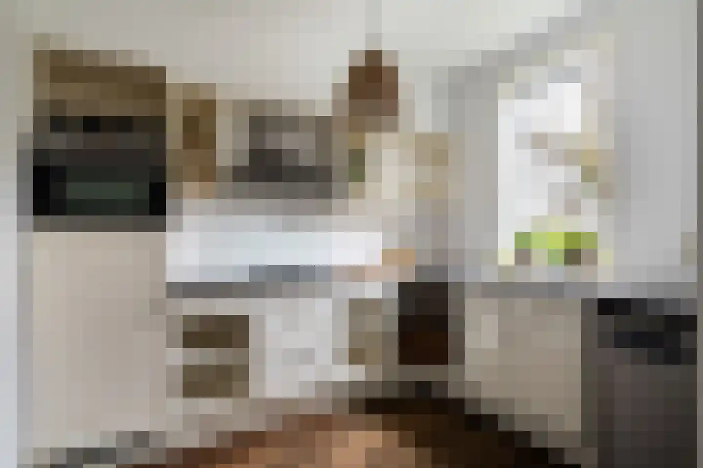 Van Hoornekade 209 Utrecht thumbnail 15