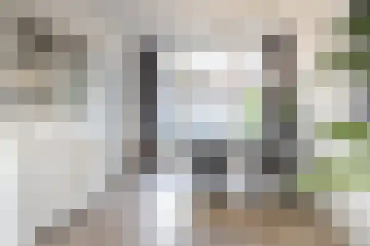 Van Hoornekade 85 Utrecht thumbnail 13