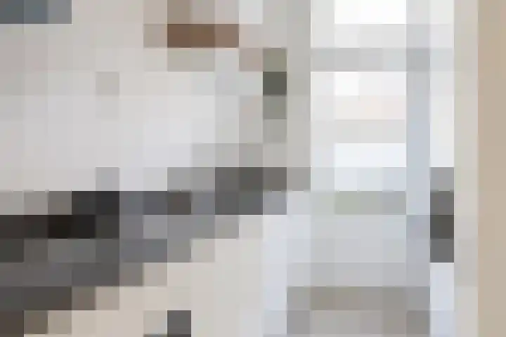 Van Hoornekade 85 Utrecht thumbnail 15