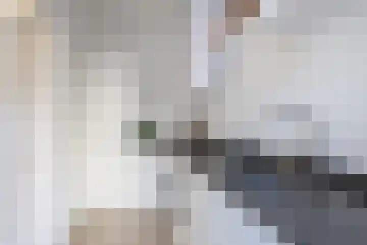 Van Hoornekade 85 Utrecht thumbnail 16