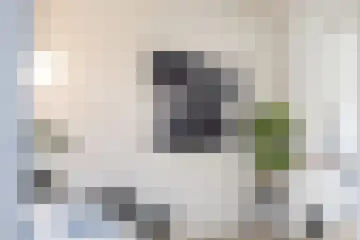 Van Hoornekade 85 Utrecht thumbnail 19