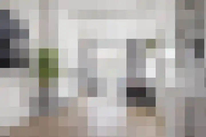 Van Hoornekade 85 Utrecht thumbnail 21