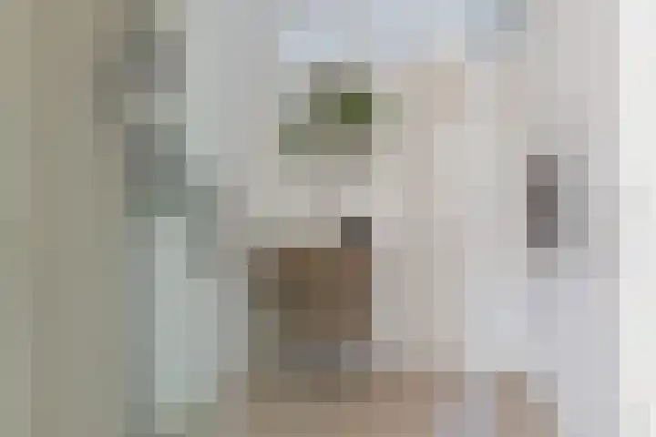 Van Hoornekade 85 Utrecht thumbnail 35