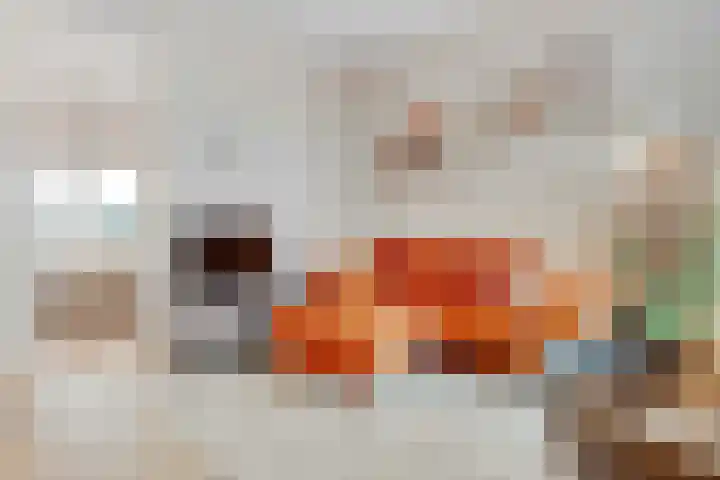 Van Hoornekade 91 A Utrecht thumbnail 15