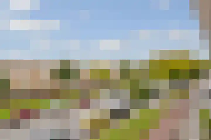 Van Hoornekade 91 A Utrecht thumbnail 24
