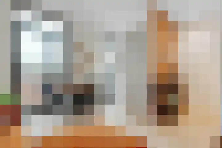 Van Hoornekade 91 A Utrecht thumbnail 6