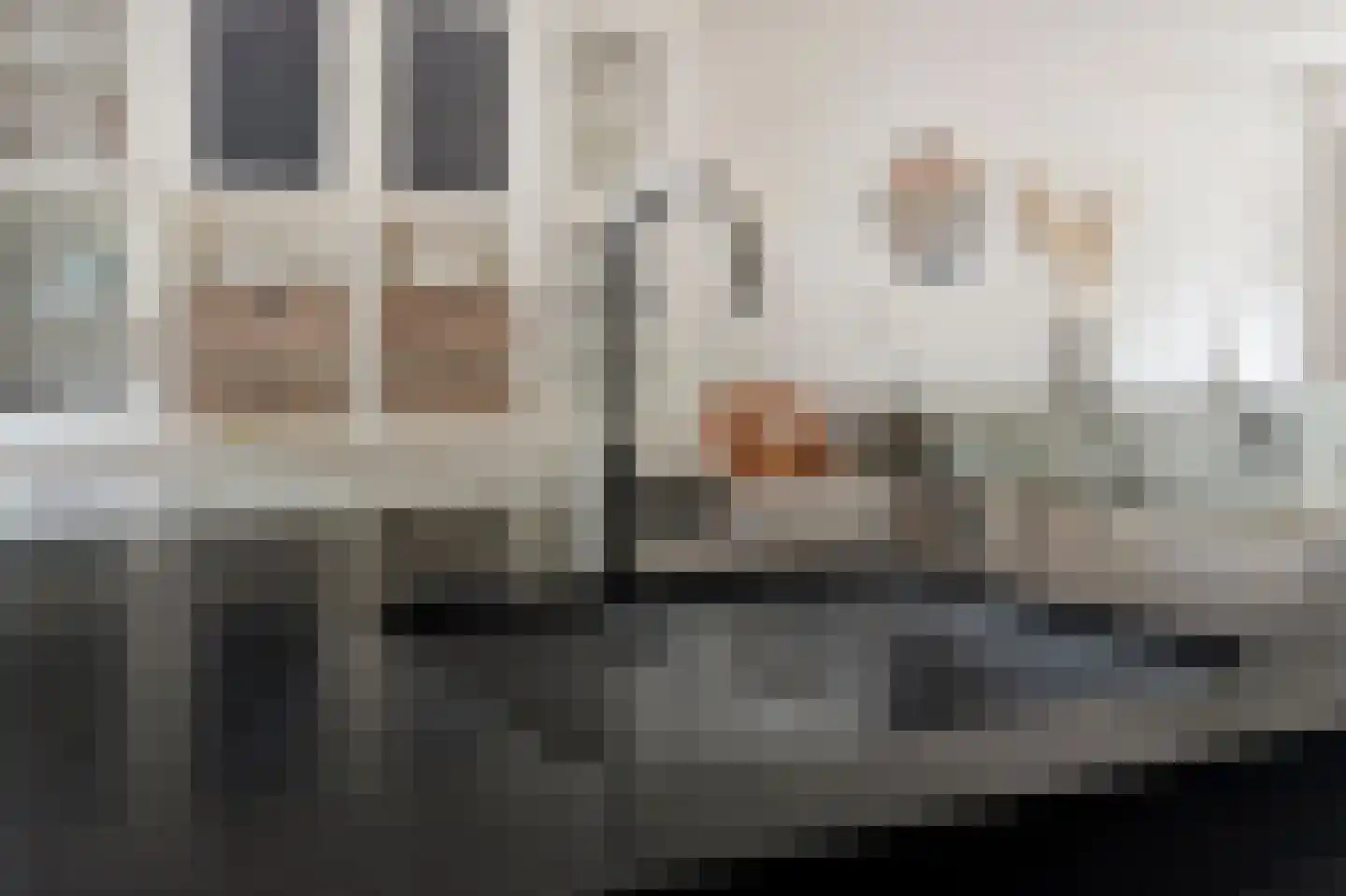van Hoornestraat 38 Sint-Michielsgestel thumbnail 15