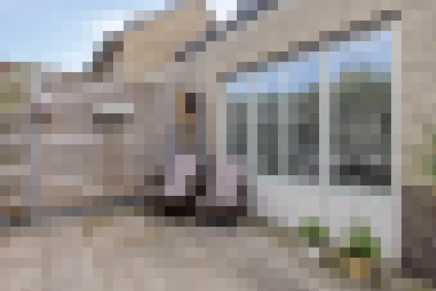 van Hoornestraat 38 Sint-Michielsgestel thumbnail 35