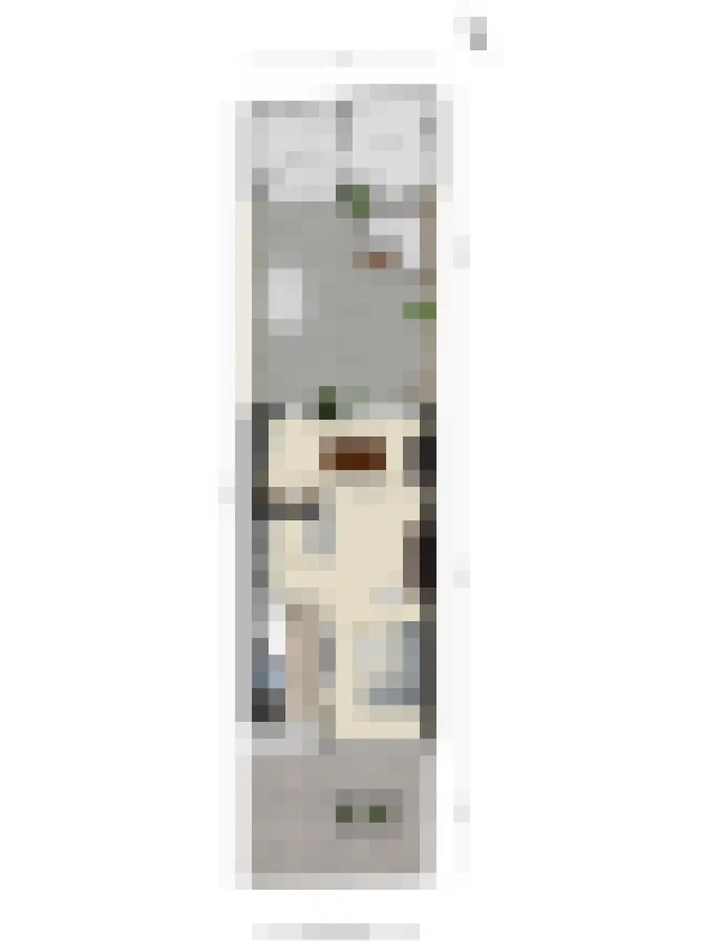 van Hoornestraat 38 Sint-Michielsgestel thumbnail 50