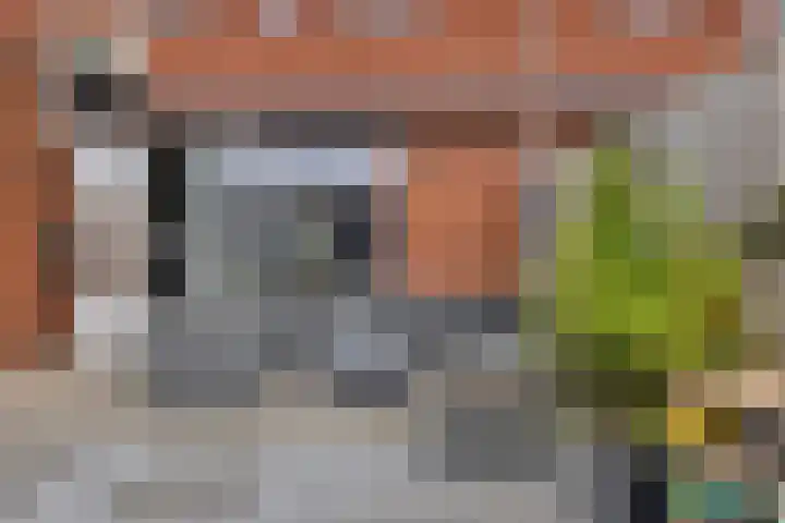 Van Hoornestraat 5 D Gorinchem thumbnail 14
