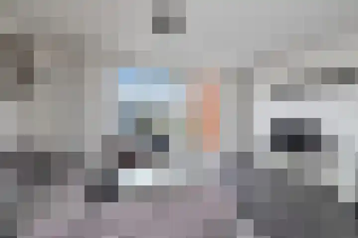 Van Hoornestraat 5 D Gorinchem thumbnail 5