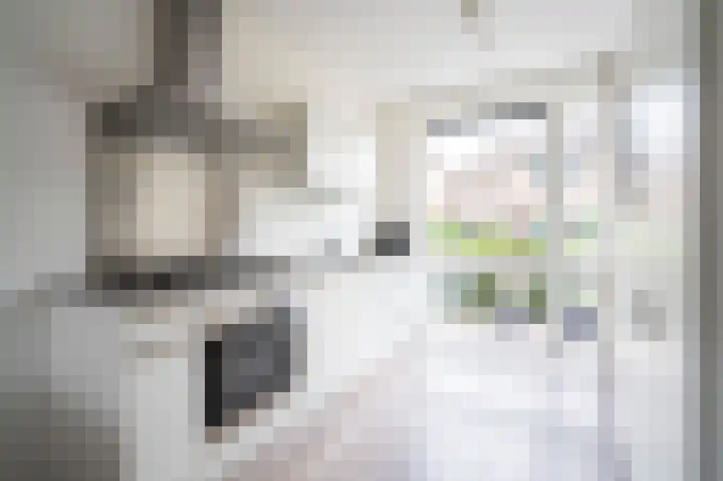 Van Hoornestraat 5 J Gorinchem thumbnail 9