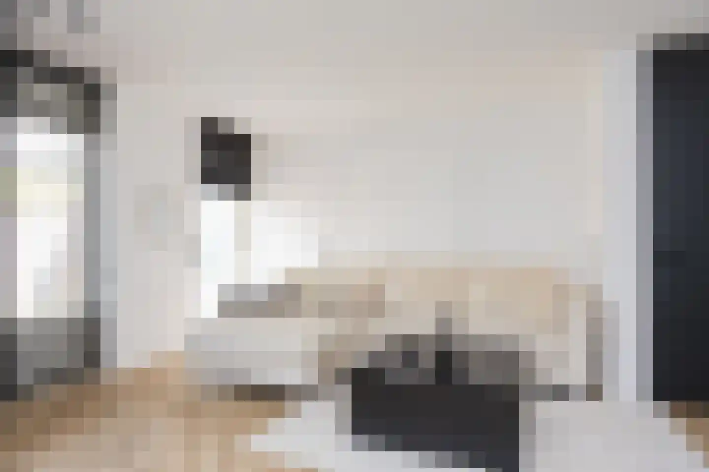 van Hoornlaan 100 Zutphen thumbnail 5