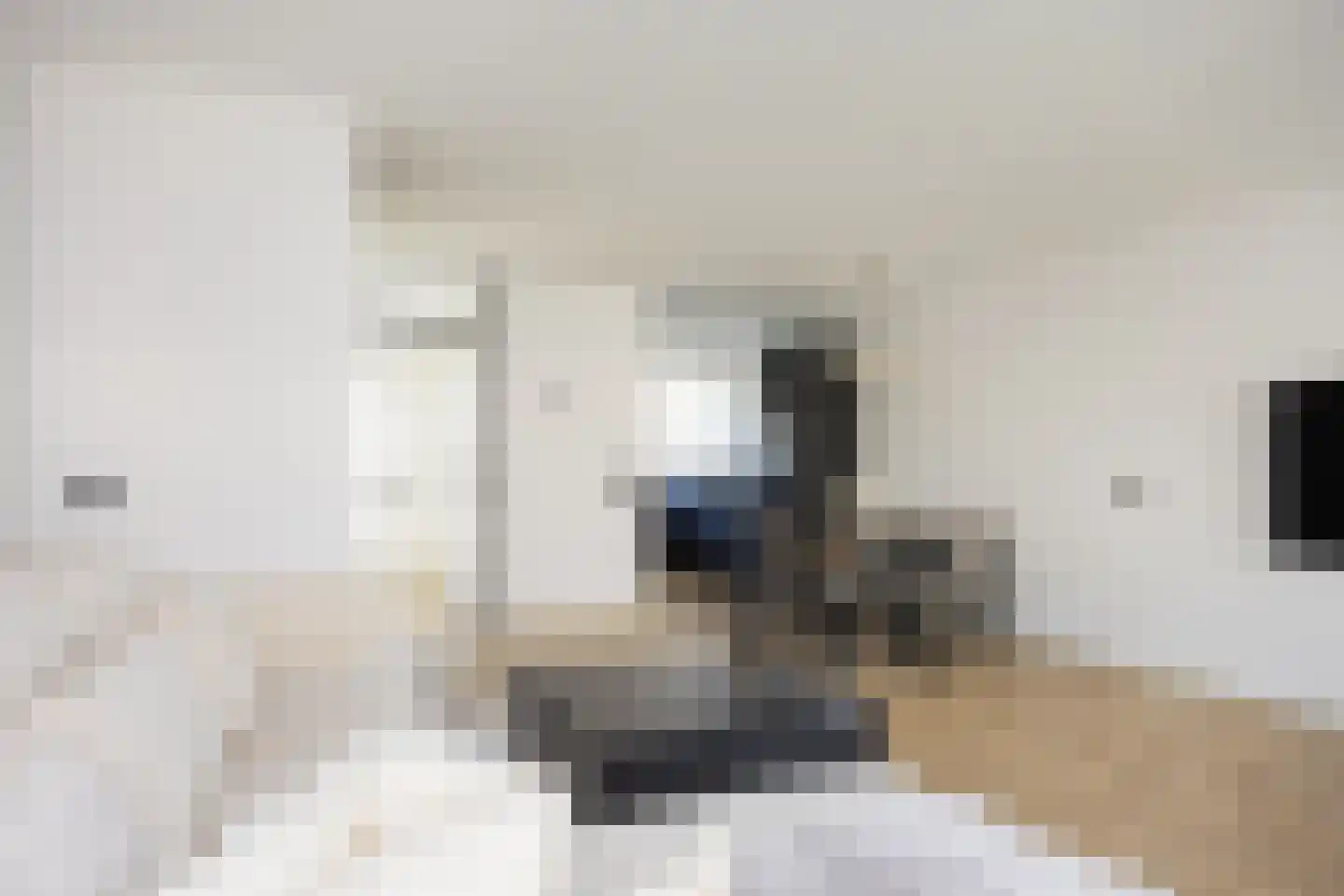 van Hoornlaan 100 Zutphen thumbnail 6