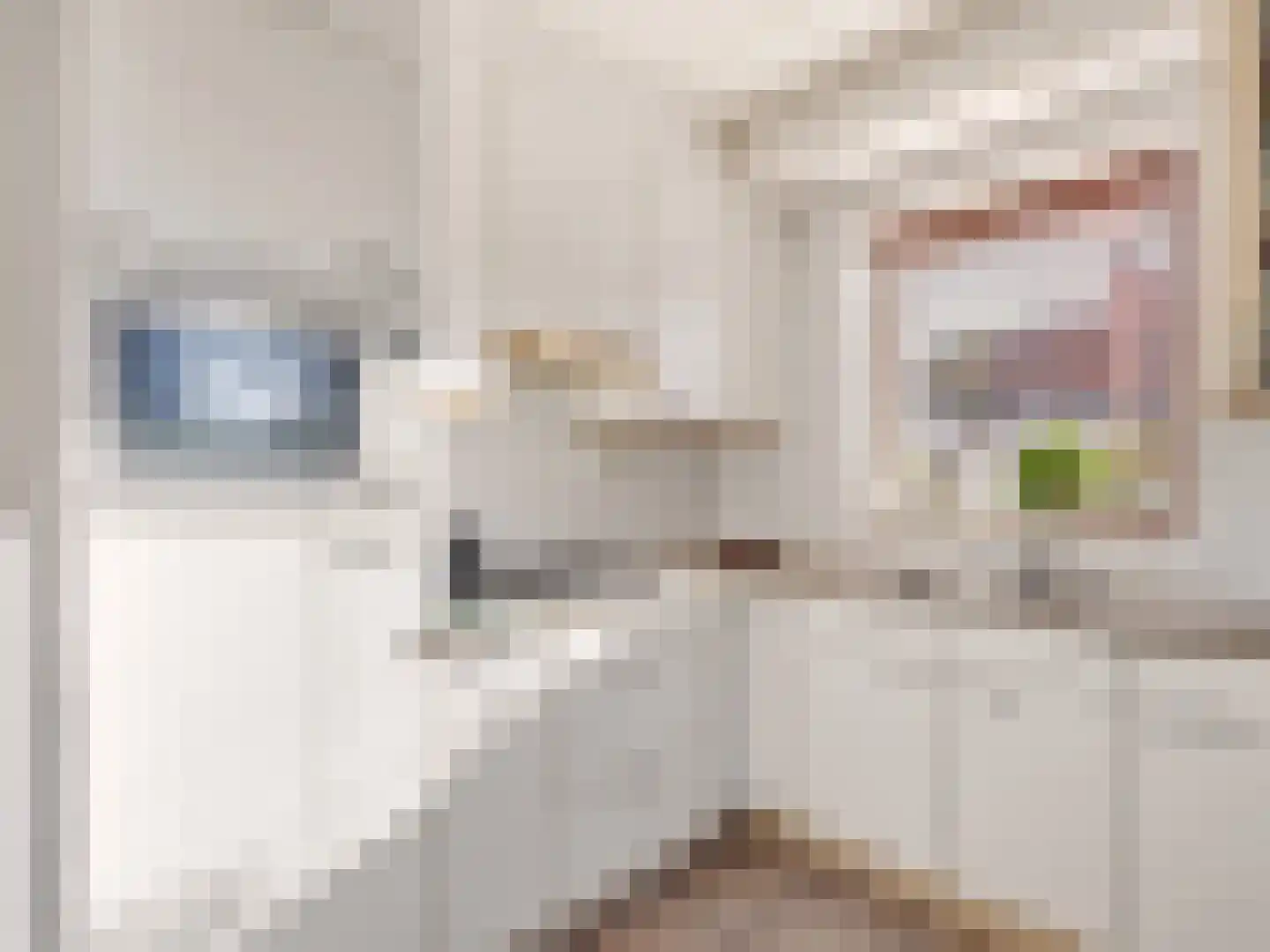 van Hoornlaan 122 Zutphen thumbnail 11