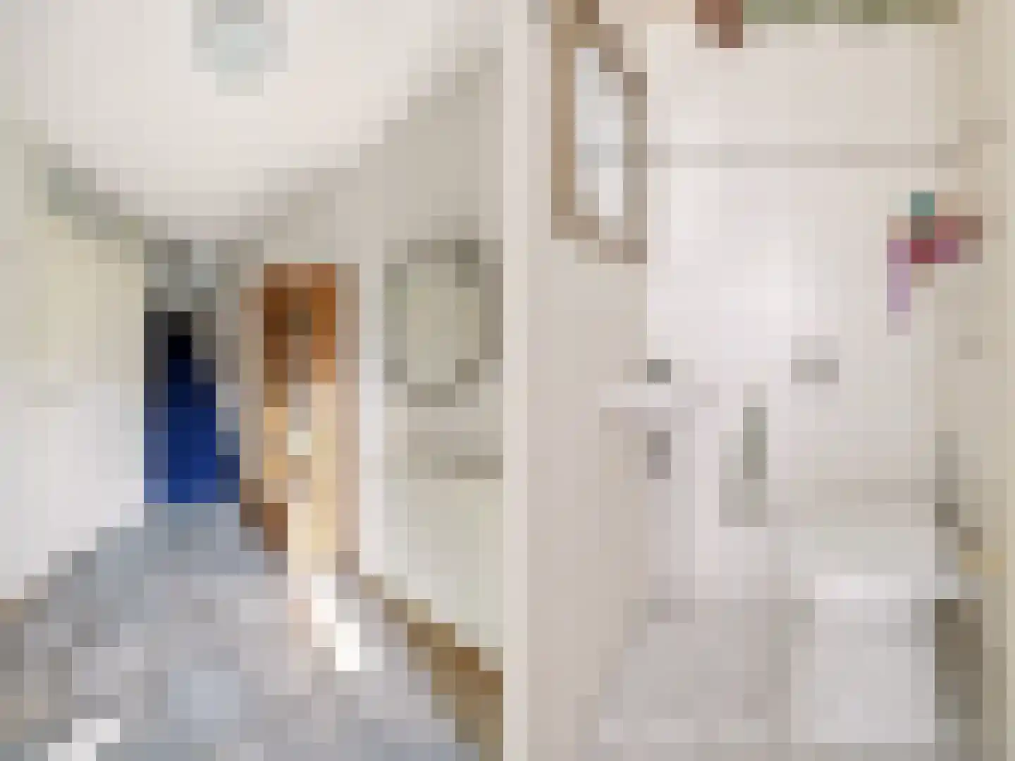 van Hoornlaan 122 Zutphen thumbnail 12