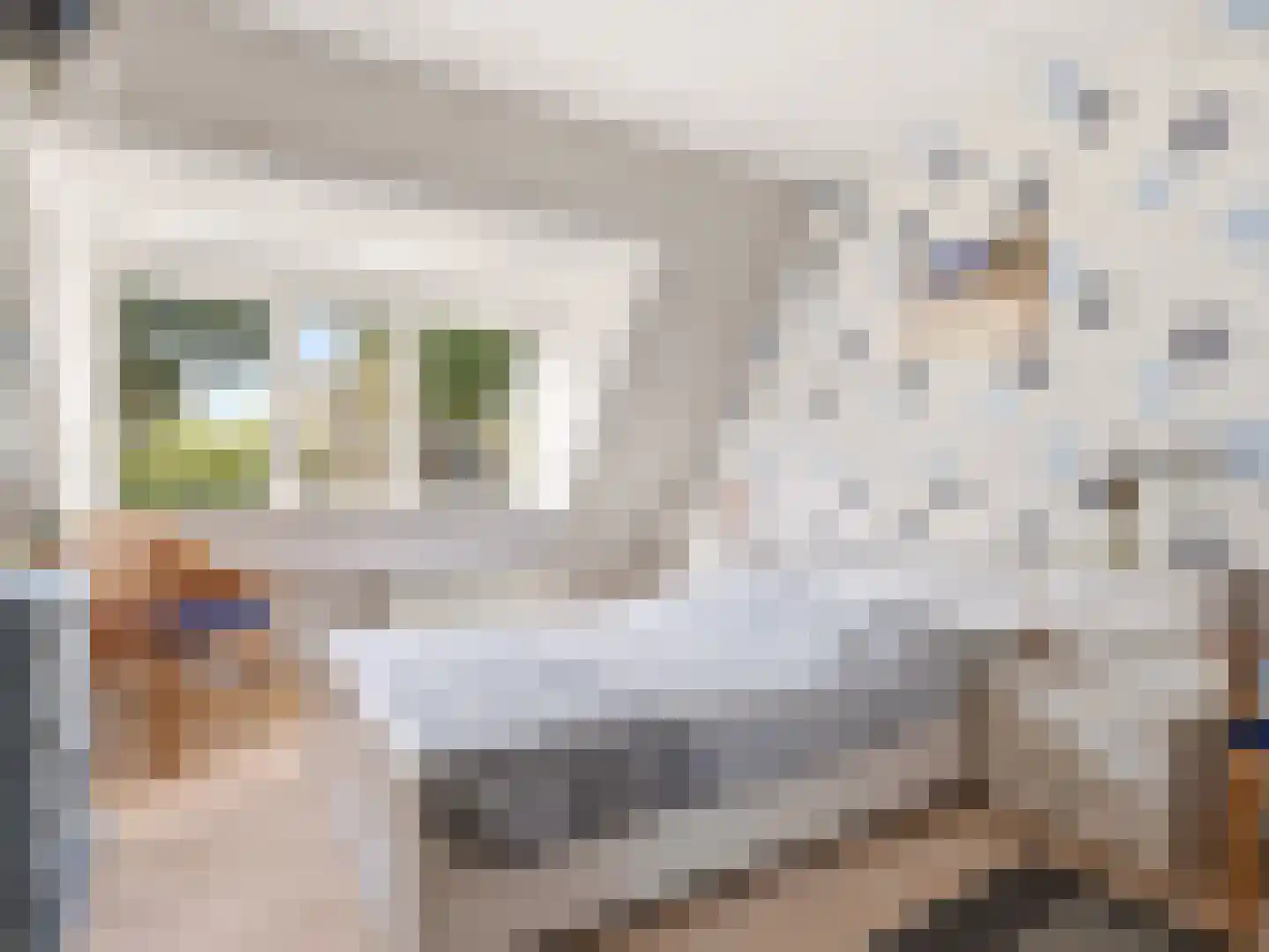 van Hoornlaan 122 Zutphen thumbnail 15