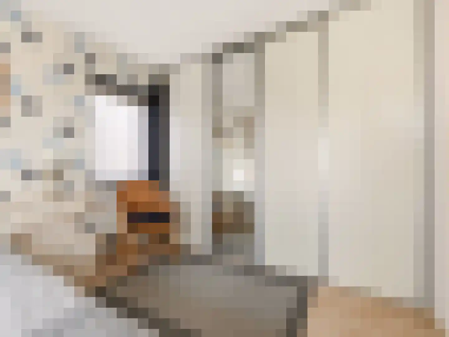 van Hoornlaan 122 Zutphen thumbnail 16
