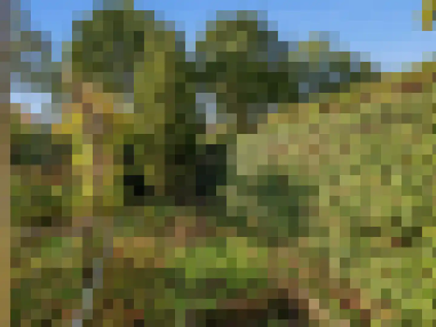 van Hoornlaan 122 Zutphen thumbnail 28