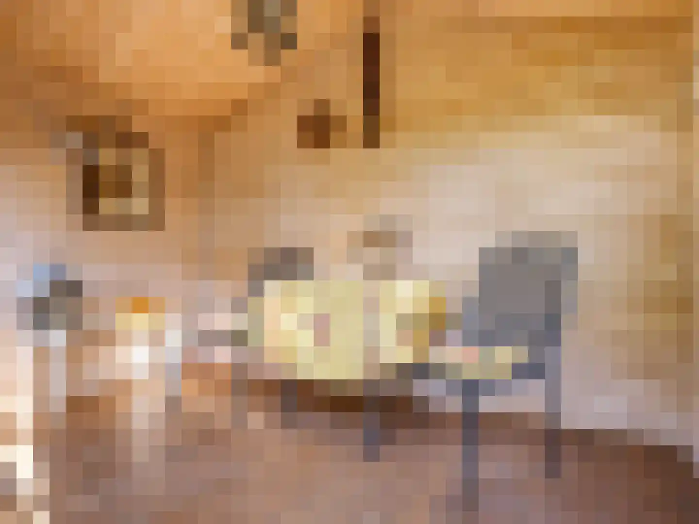 van Hoornlaan 122 Zutphen thumbnail 30