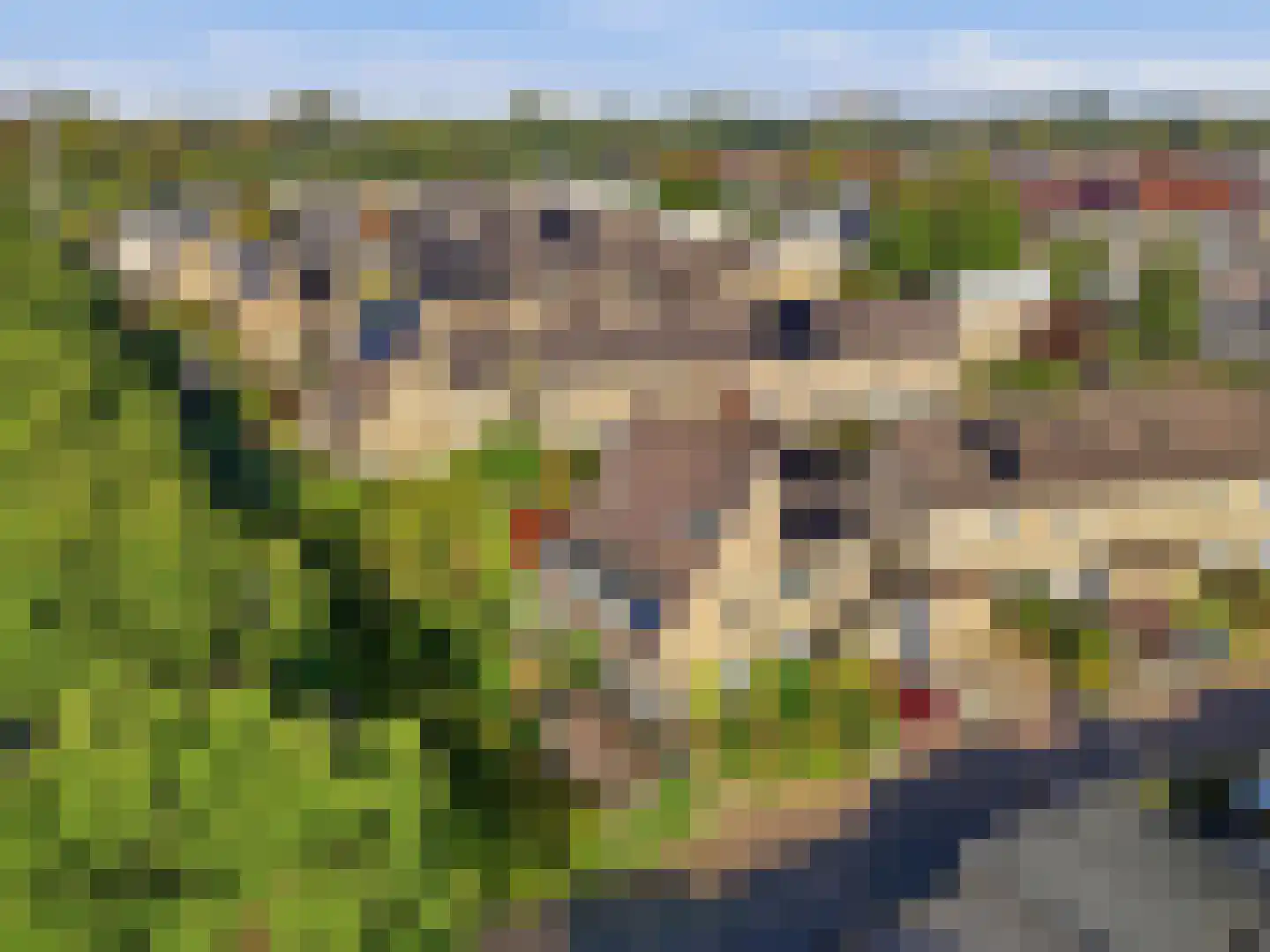 van Hoornlaan 122 Zutphen thumbnail 37