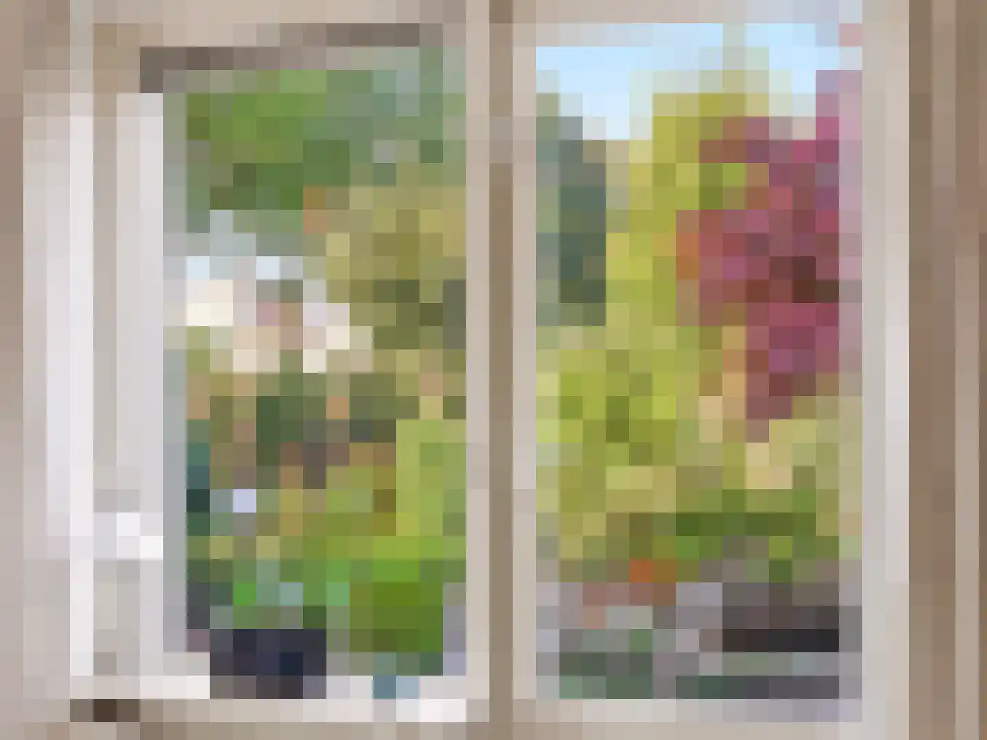 van Hoornlaan 122 Zutphen thumbnail 9