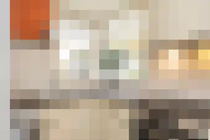 van Hoornlaan 130 Zutphen thumbnail 10