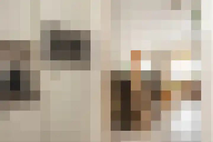 van Hoornlaan 130 Zutphen thumbnail 11