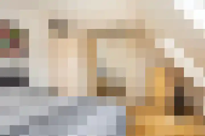 van Hoornlaan 130 Zutphen thumbnail 17
