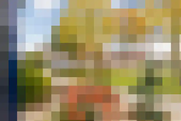 van Hoornlaan 130 Zutphen thumbnail 26