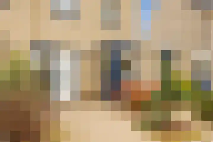 van Hoornlaan 130 Zutphen foto 3