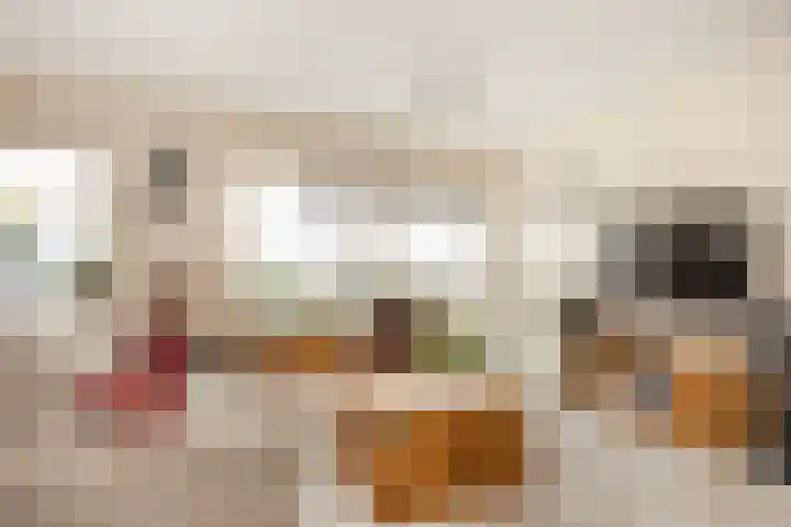 van Hoornlaan 130 Zutphen thumbnail 6