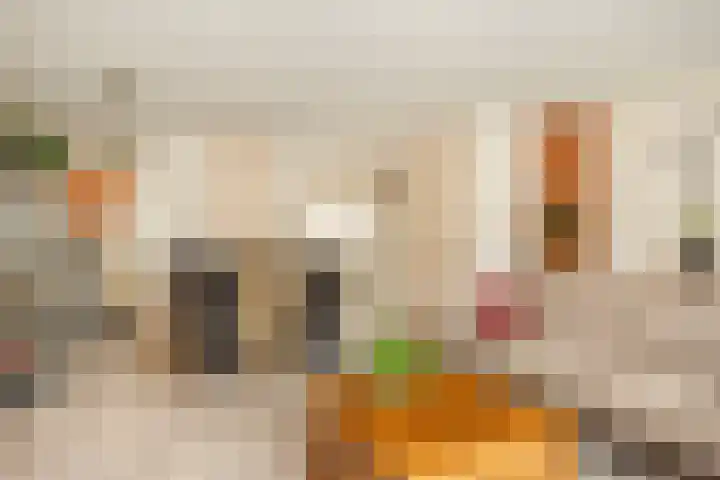 van Hoornlaan 130 Zutphen thumbnail 8