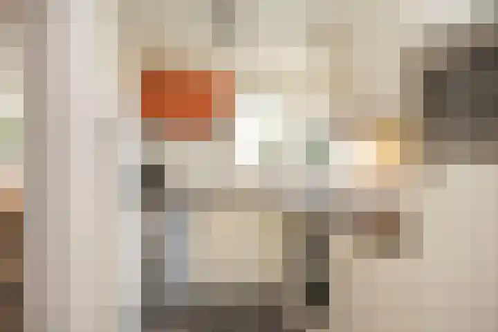 van Hoornlaan 130 Zutphen thumbnail 9
