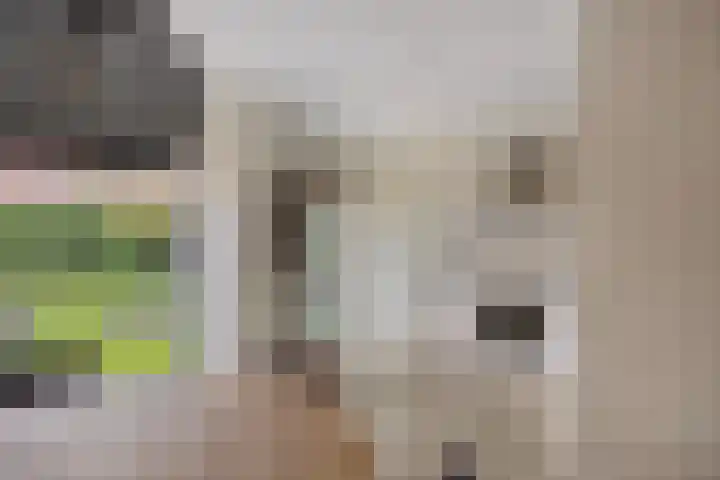 van Hoornlaan 25 Zutphen thumbnail 11