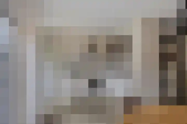 van Hoornlaan 25 Zutphen thumbnail 13
