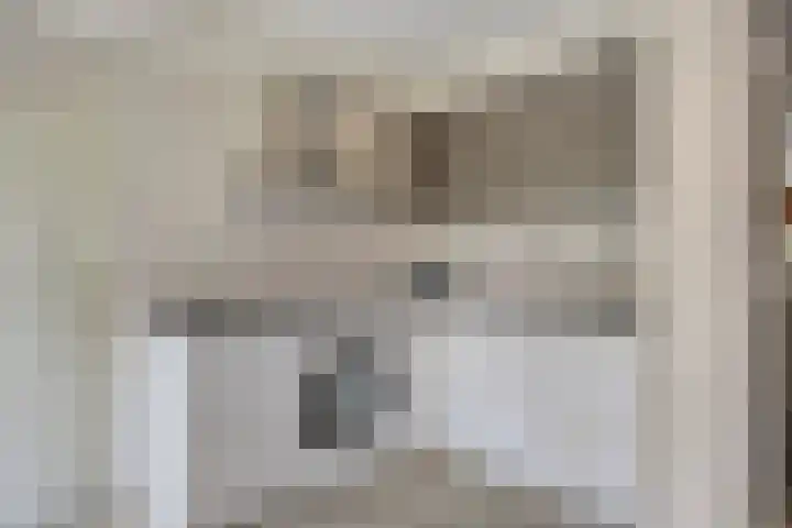 van Hoornlaan 25 Zutphen thumbnail 14