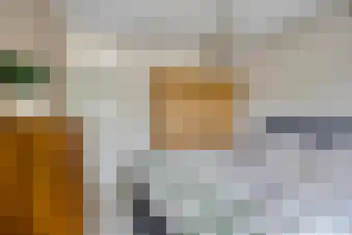 van Hoornlaan 25 Zutphen thumbnail 19