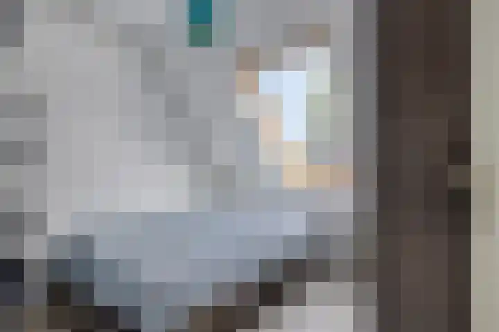 van Hoornlaan 25 Zutphen thumbnail 20