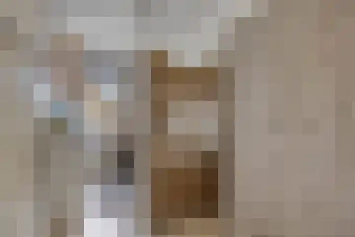 van Hoornlaan 25 Zutphen thumbnail 21