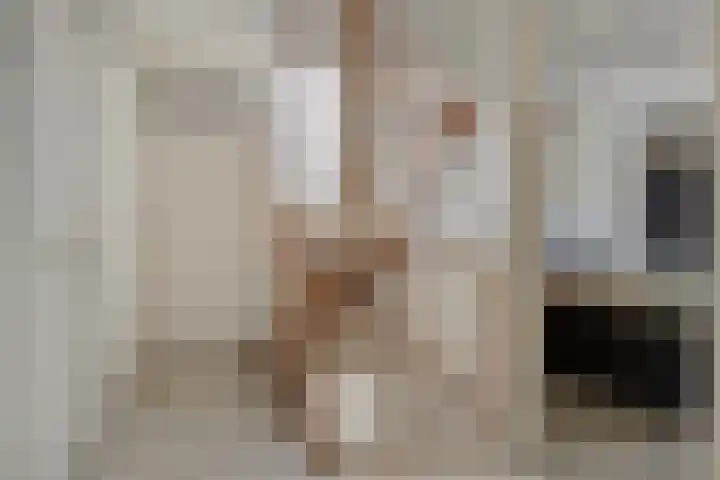 van Hoornlaan 25 Zutphen thumbnail 24