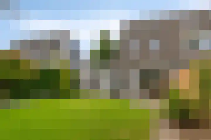 van Hoornlaan 25 Zutphen thumbnail 27