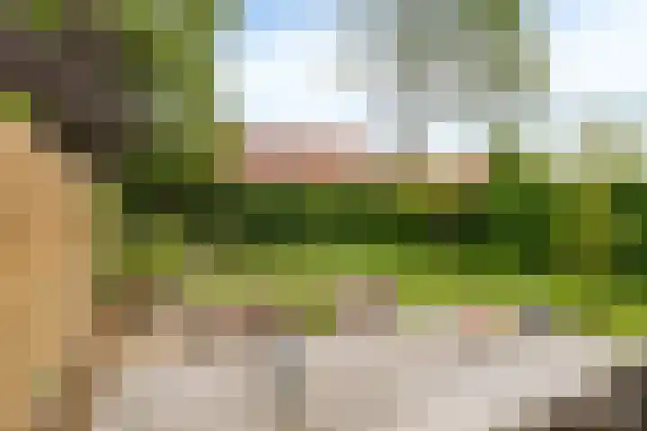 van Hoornlaan 25 Zutphen thumbnail 29